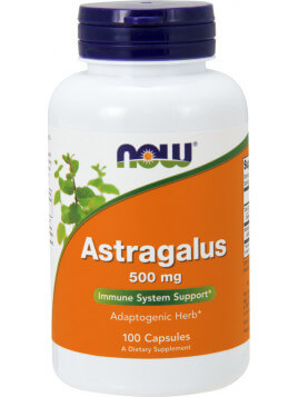 Now Foods Astragalus 500mg 100 κάψουλες