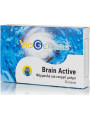 Viogenesis Brain Active Συμπλήρωμα για την Μνήμη 30 ταμπλέτες  Viogenesis Brain Active Συμπλήρωμα για την Μνήμη 30 ταμπλέτες