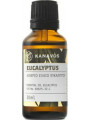 Kanavos Αιθέριο Έλαιο Ευκάλυπτος 30ml  Kanavos Αιθέριο Έλαιο Ευκάλυπτος 30ml