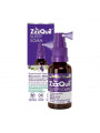 ZzzQuil Sleep 1mg Συμπλήρωμα για τον Ύπνο 30ml Πορτοκάλι ZzzQuil Sleep 1mg Συμπλήρωμα για τον Ύπνο 30ml Πορτοκάλι